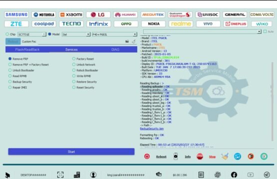 TSM Tool Pro V2.1.7 Interface